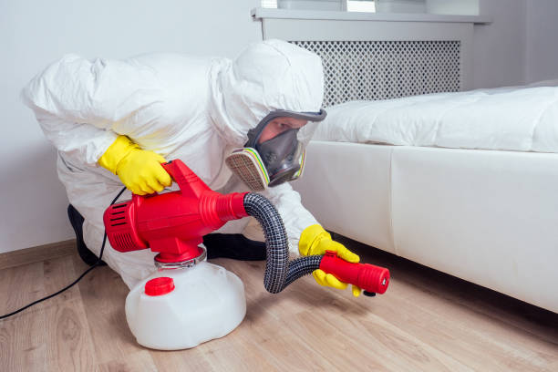 Best Pest Removal Services  in Clive, IA