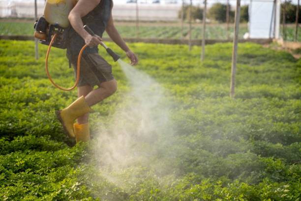 Best Best Pest Control Companies  in Clive, IA