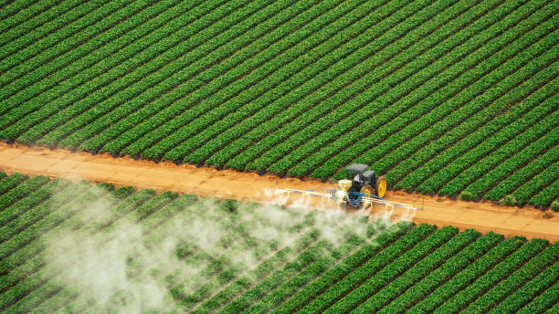 Best Mosquito Control Services  in Clive, IA