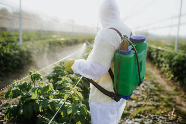 Best Commercial Pest Control Services  in Clive, IA